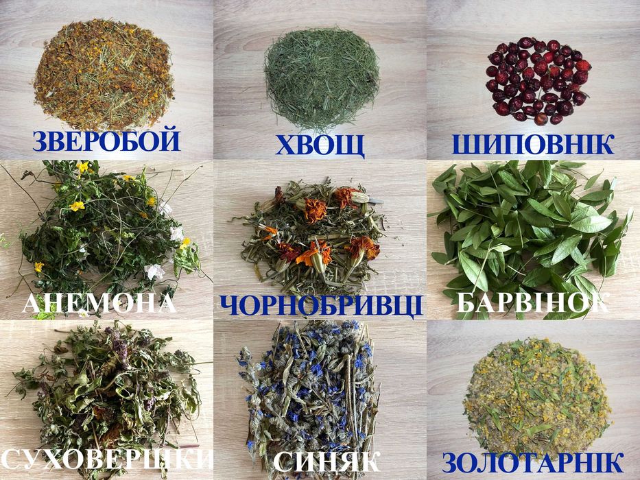 Зверобой. Золотарнік. Хвощ. Шиповнік. Чорнобривці. Анемона Барвінок Синяк Суховершки