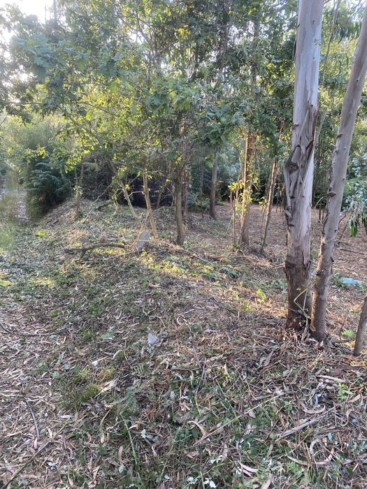 Limpeza de terrenos