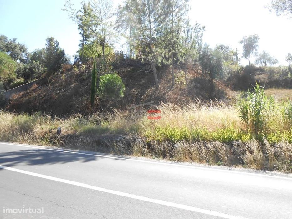 Terreno para construção — Santa Catarina Da Serra E Chainça, Leiria