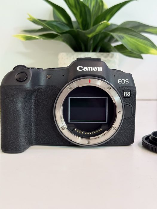 Canon EOS R8 (c/seguro) + rf 50mm f1.8 + rf 24-105mm f4-7.1