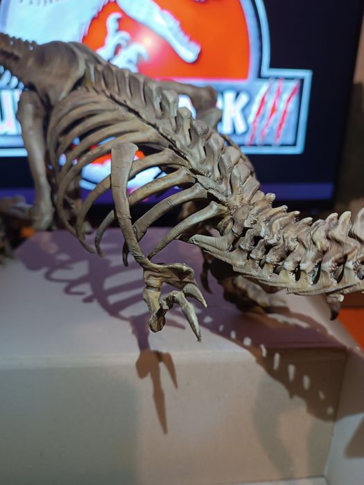 Скелет тиранозавр Рекс. T-Rex