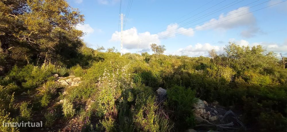 Terreno Rústico  Venda em Conceição e Estoi,Faro