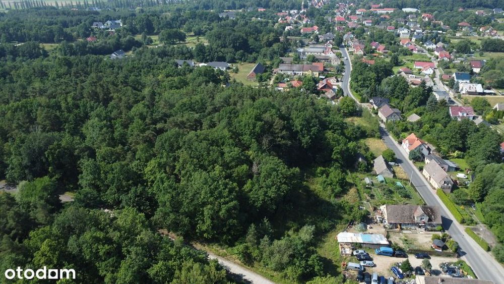 Myślisz, że 60 zł/m2 za las to oszustwo?