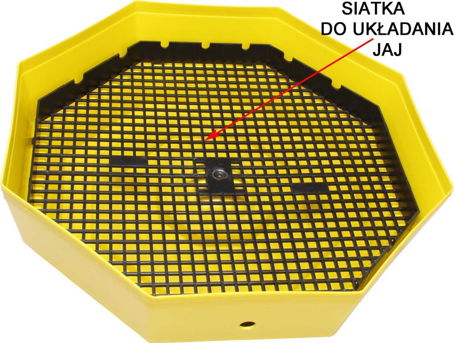 Inkubator CLEO 5DTH klujnik wylęgarka półautomat 60 jaj LCD gwarancja