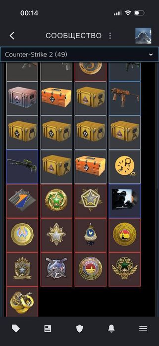 Аккаунт в стим. Много скинов