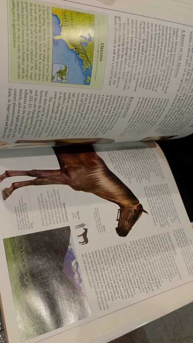 The Encyclopedia of the Horse - Elwyn Hartley Edwards