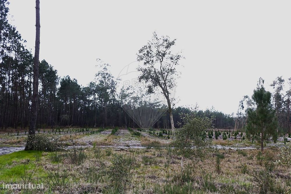 Terreno  para venda