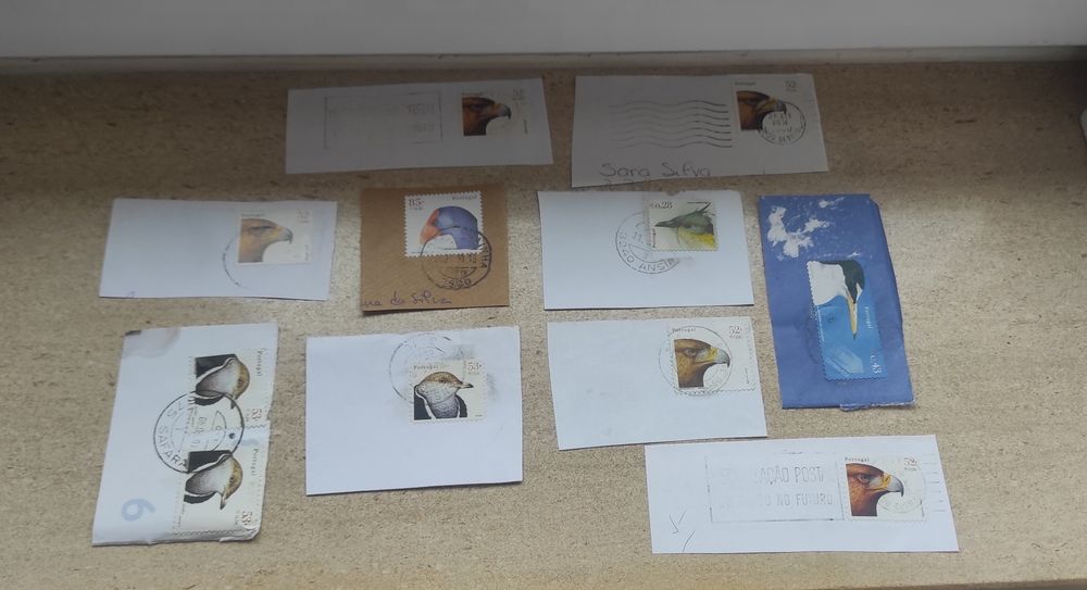 Selos Portugal pack aves
