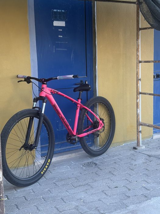 collective c100 rosa