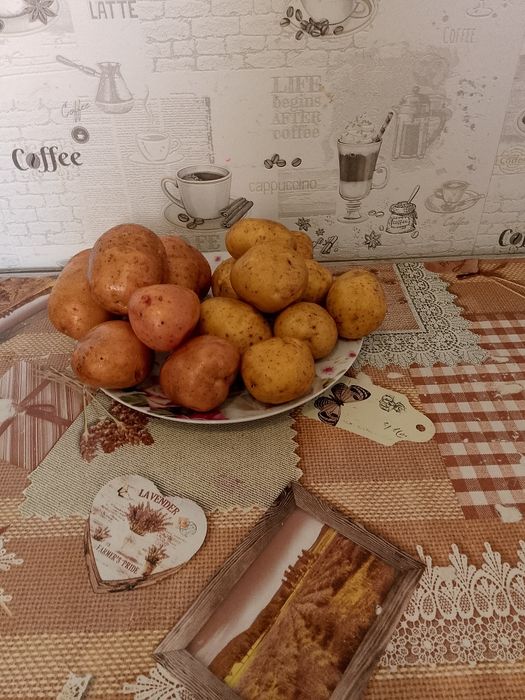 Продам картоплю.