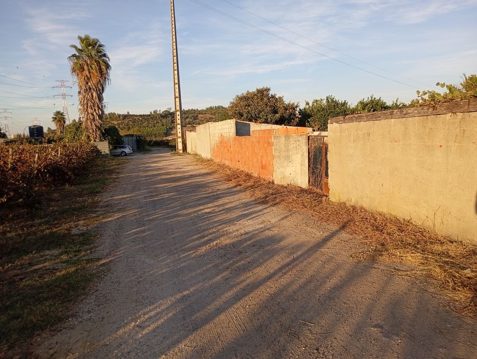 Terreno agrícola
