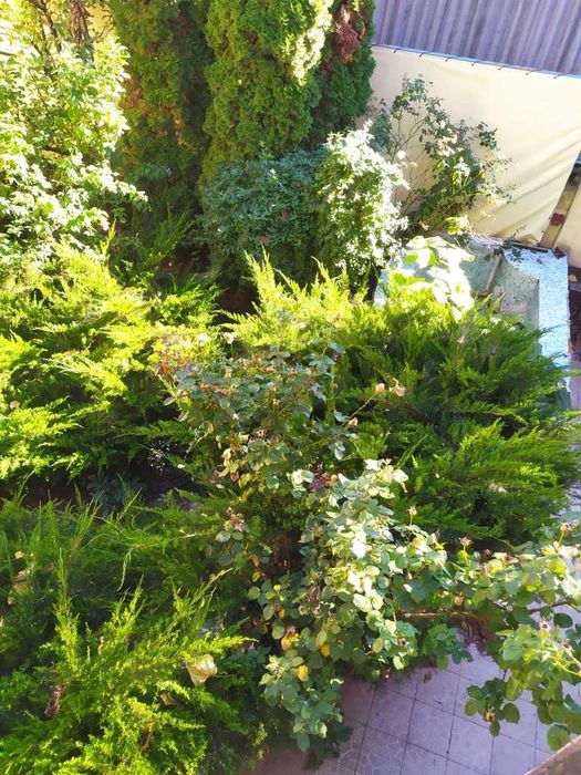 Дом по адресу ул. Макаренко (площадь 195 м²) - Atlanta.ua - фото 16