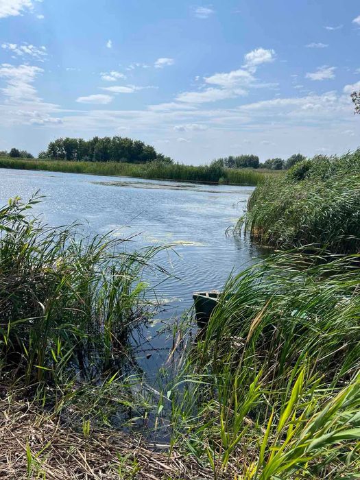 Продається затишний будинок у мальовничому селі Коробівка.