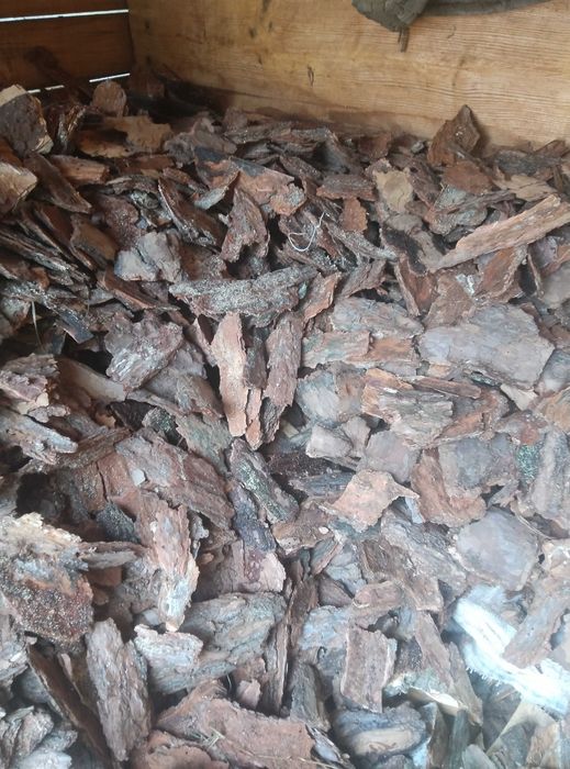 Продається кора соснова