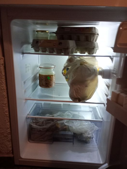 Lodówka Beko TSE1423N