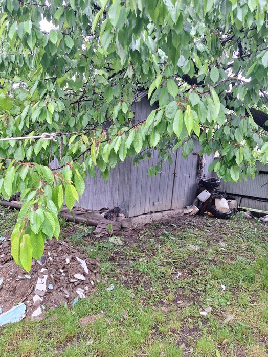 Будинок з надвірними спорудами