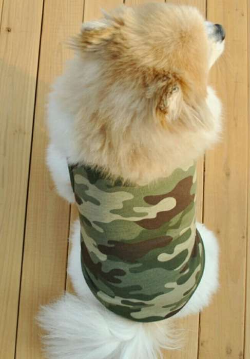 Koszulka ubranko moro dla psa