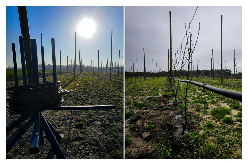 systemy nawadniania / zakładanie trawników / glebogryzarka separacyjna