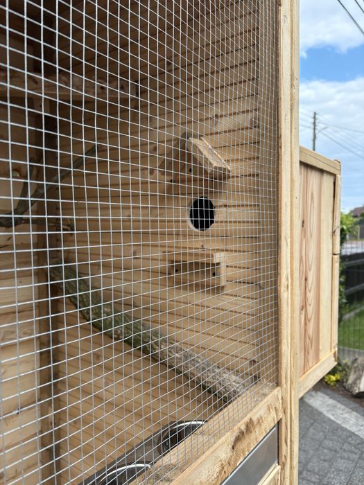 Nowa woliera klatka dla ptaków/papug – solidna, drewniana, na kółkach