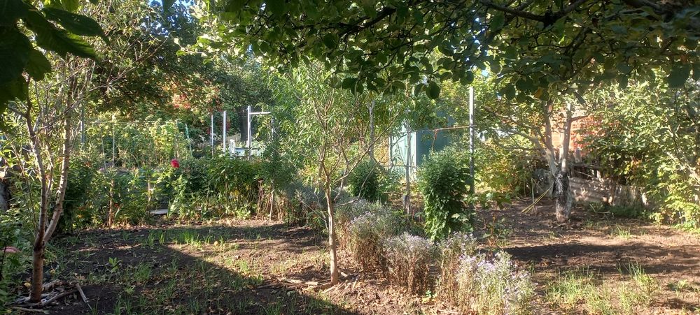 Продам дом в Чугуеве.