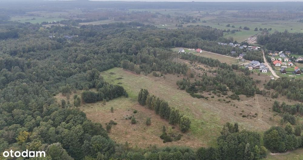 Działka inwestycyjna - Słajszewo - duży areał - Widok 4