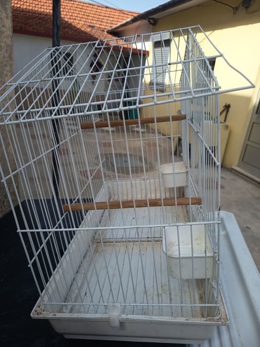 Gaiola para pássaros brancas