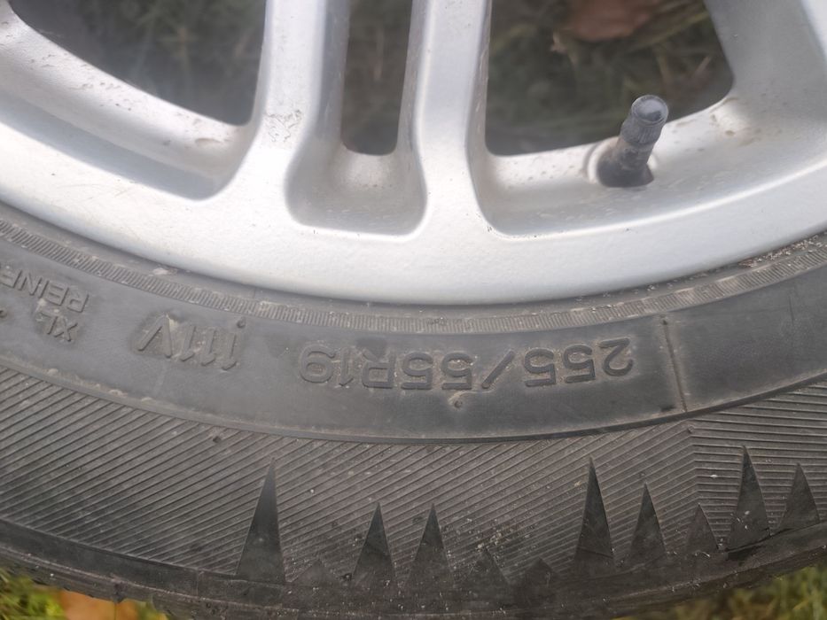 Зимова на дисках R-19