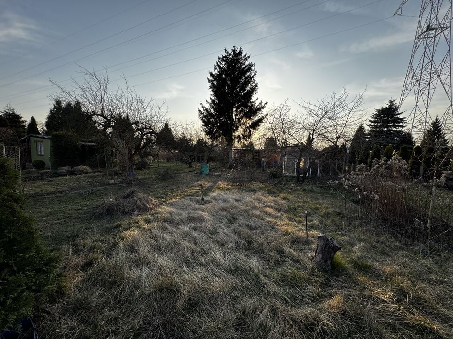 Działka rekreacyjna we Włocławku - Widok 5