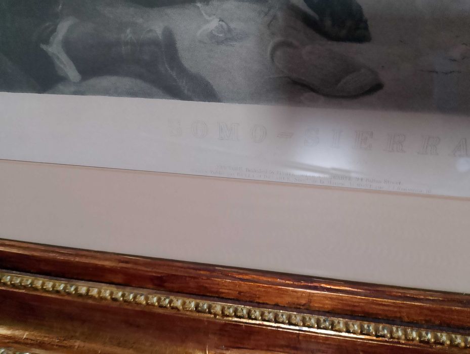 Grafika Napoleona na przełęczy Samosierra