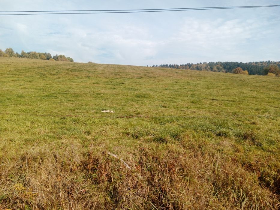 Działka 15ar z MPZP w Bieszczadach w Łodynie koło Ustrzyk Dolnych przy drodze asfaltowej powiatowej - Widok 5