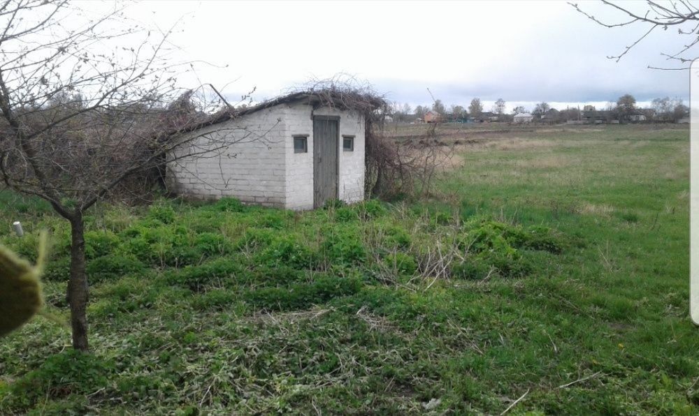 Продам дім /дачу/ в с.Ладинка Чернігівьська обл.,траса Київ-Черніг