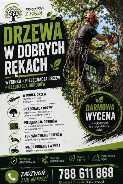 Wycinka drzew | Pielęgnacja drzew i ogrodów | Arborysta