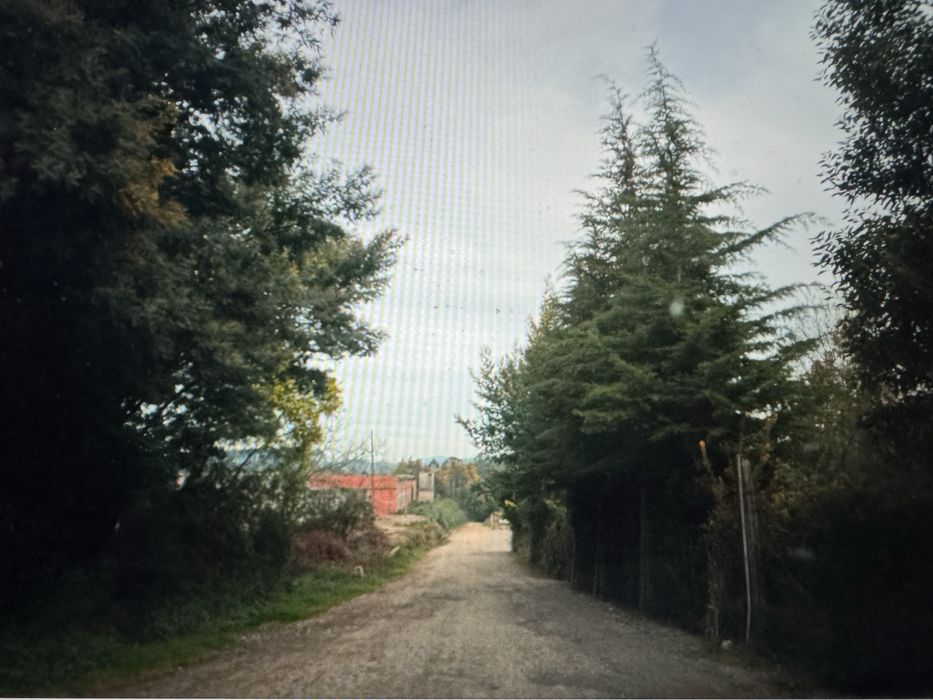 Terreno Rustico  com quase 25000m2