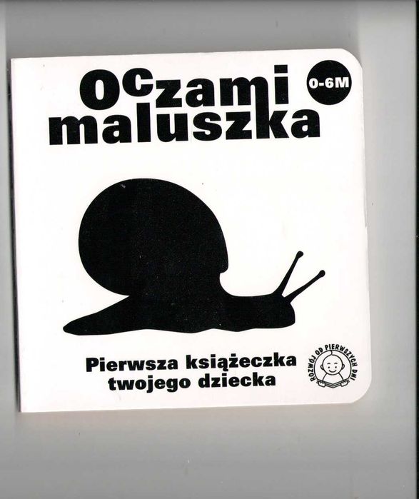 Oczami maluszka. Ślimak Sierra Madre