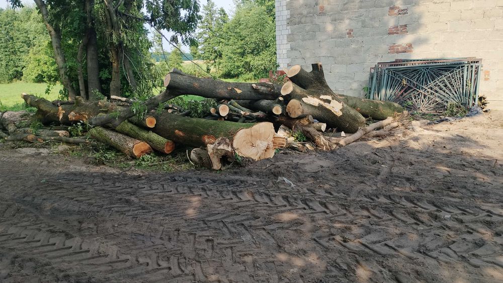Sprzedam kłody drewna jesion oraz grusza