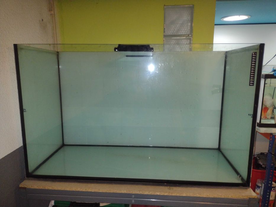 Aquario Scalare 1 metro  (1000x400x600) 240 Litros