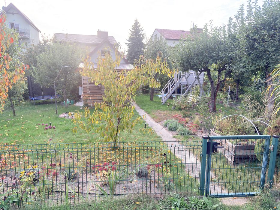 Działka ROD „niwa” 3.3ar. Ogrodzona domek murowany - Widok 2