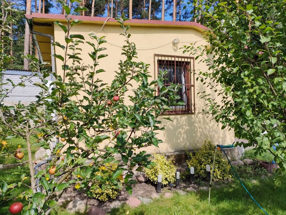 Dzialka ROD Zielona Gora - Widok 2