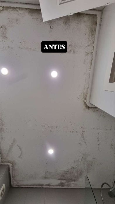 Limpeza de Bolor em Paredes e Tetos | Resultado Visível