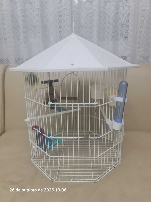 gaiola hexagonal - Nº 264553065358850122