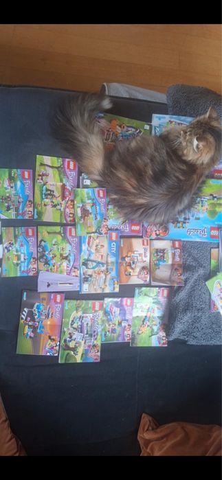 LEGO friends mix z instrukcjami Gdańsk
