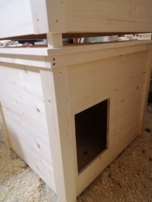 Будка буда для песика