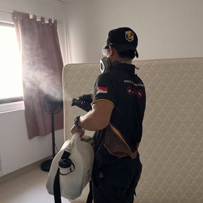 Уничтожение Травля Знищення Тараканов Клопов Блох Клещей Ос Мух Пауков