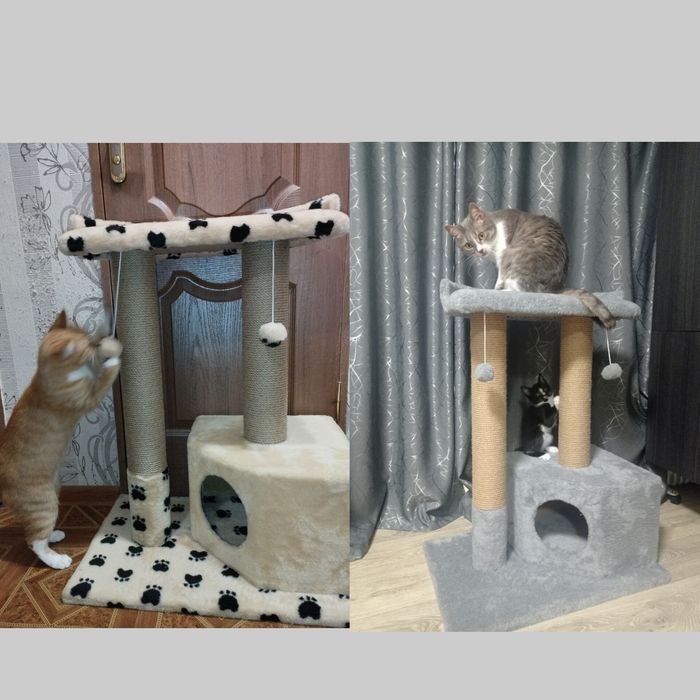 Будинок для кота, кішки , кошеня. ког