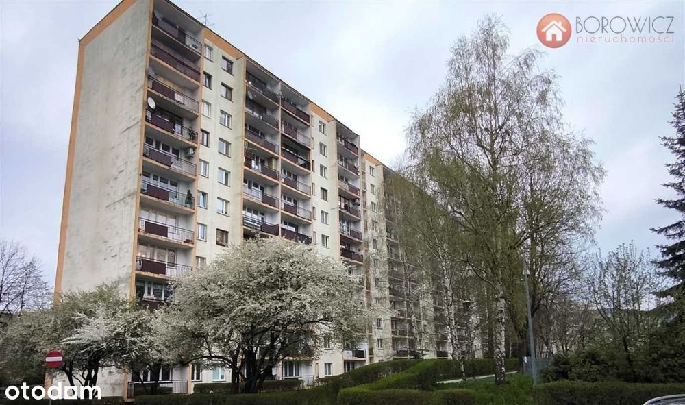 3 pokoje w centrum Bielska