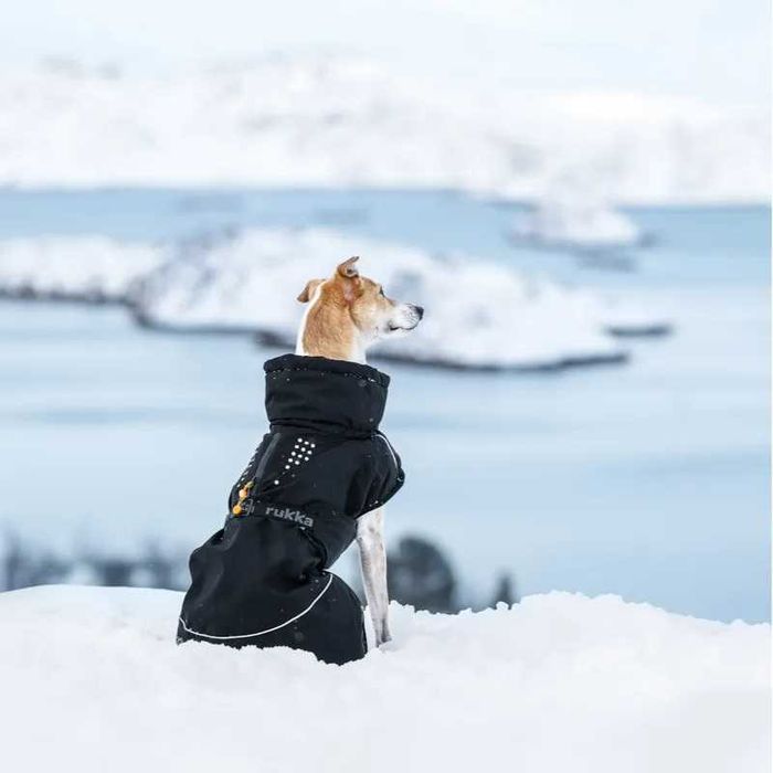 Płaszcz dla psa Rukka WarmUp 2.0 rozmiar 40