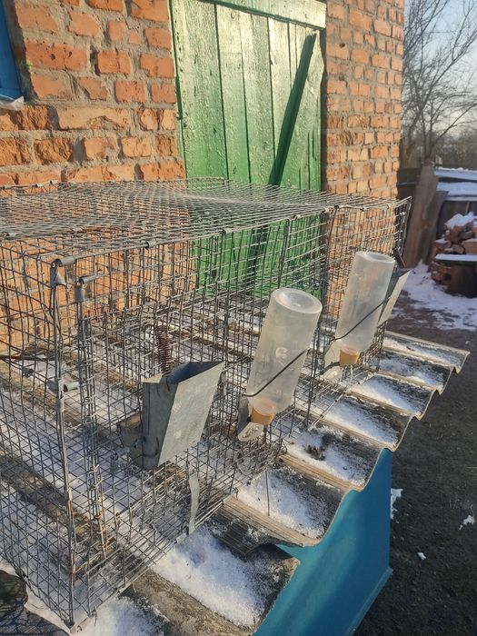 Продам заводську оцинковану клітку для  кролів