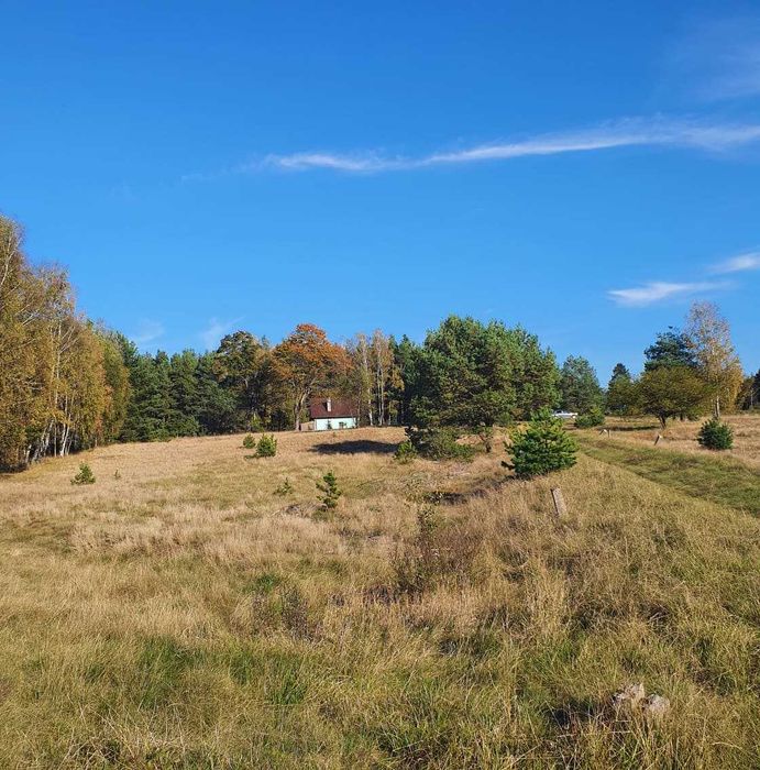 Działki  na rozstaju dróg 4400m2 i 2400m2 Ocypel