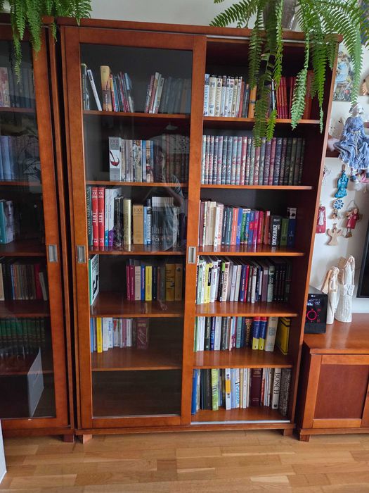 Biblioteczka EMDEN Meble Sośno