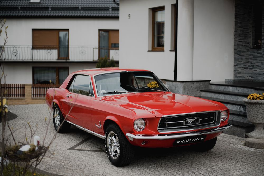 Samochod do wynajecia Ford Mustang 1968 auto na slub wypozyczenie